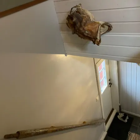 Lysboen Bua 펜션 *